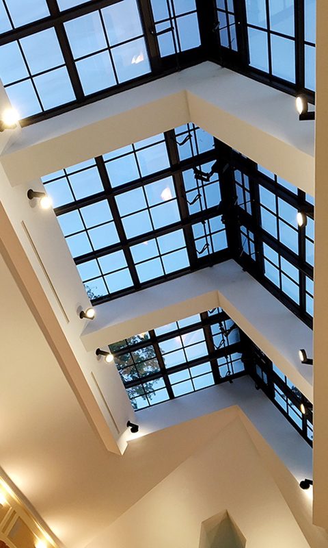 Fixed Skylights